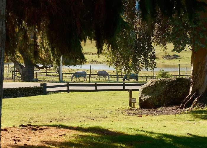 Mora At Sundale * Wanaka